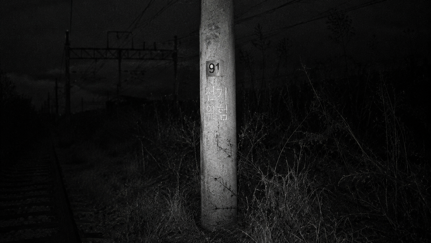 Forensic flashlight capture of Telegraph Pole 91 along a dark, isolated Korean railway line at night.